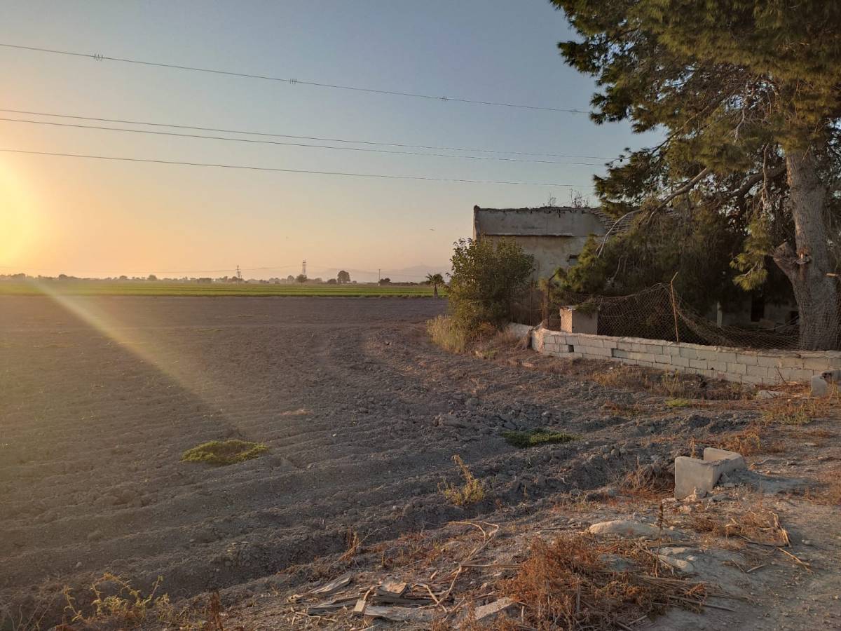 Suelo Rústico en Venta en la marina, San Fulgencio