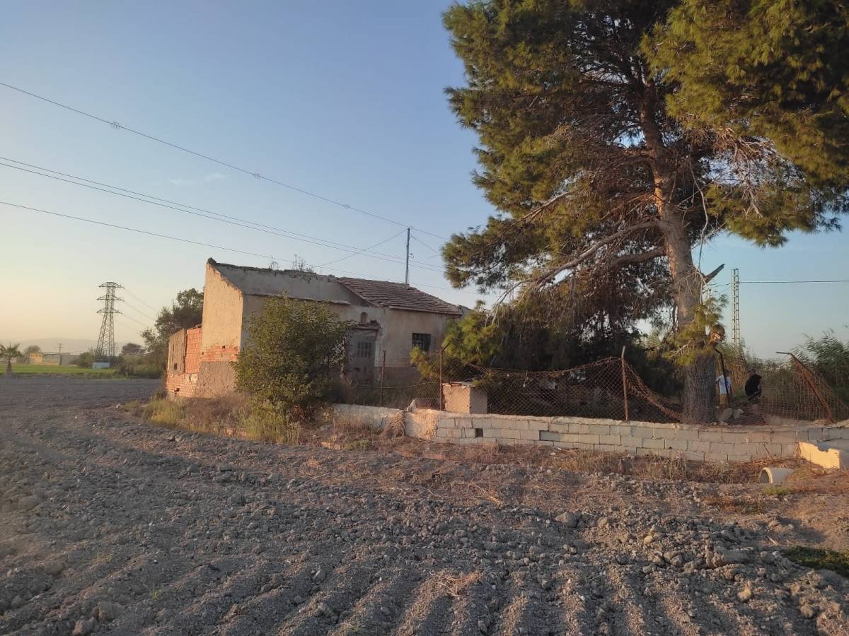 Suelo Rústico en Venta en la marina, San Fulgencio