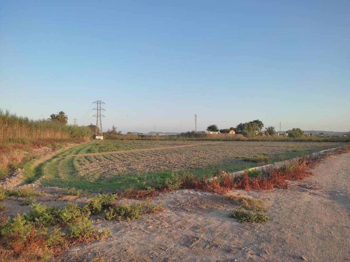 Suelo Rústico en Venta en la marina, San Fulgencio