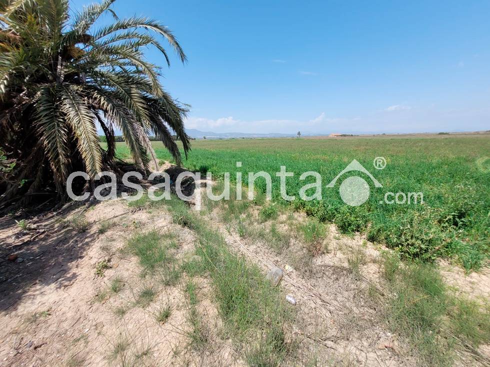 Casa de Campo en Venta en huerta, Catral