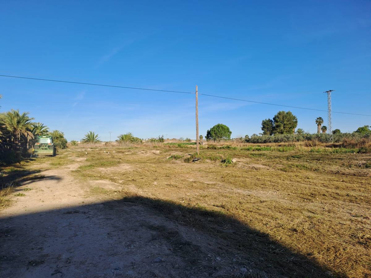 Suelo Rústico en Venta en Pueblo, Catral