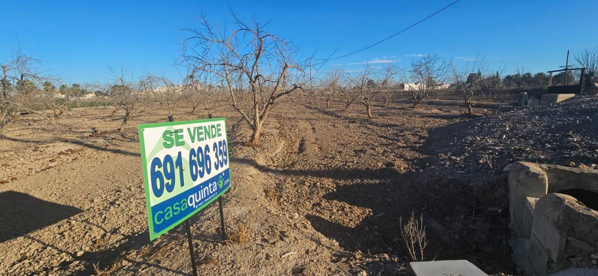 Suelo Rústico en Venta en huerta, Catral