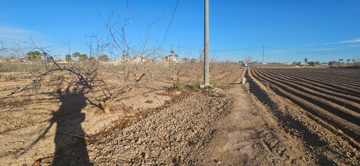 Suelo Rústico en Venta en huerta, Catral